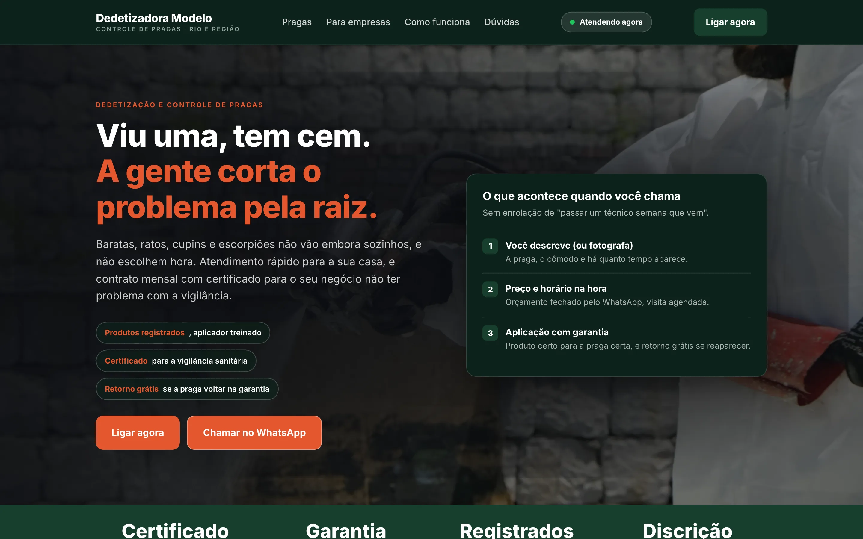 Modelo de site para dedetizadora